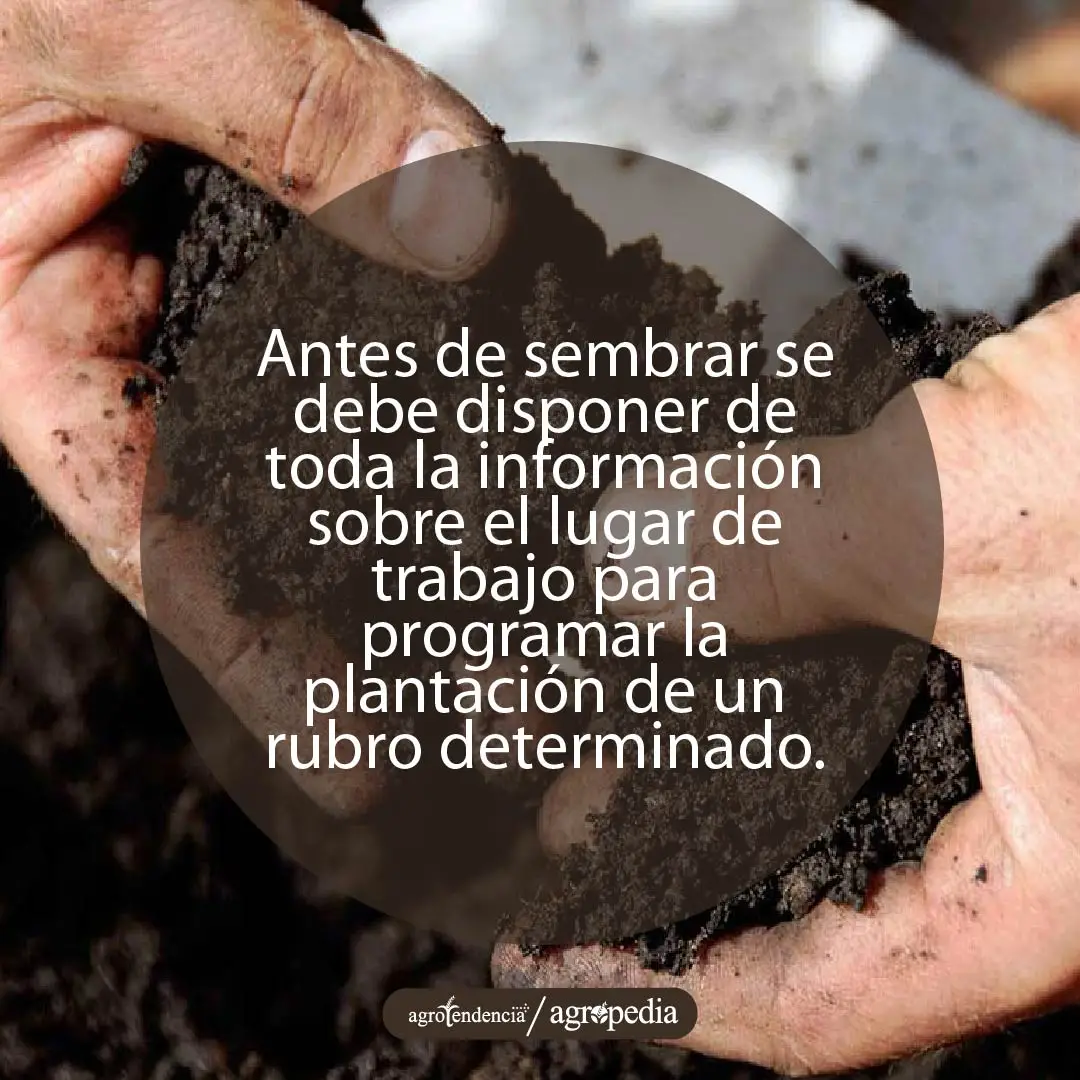 manos tomando tierra