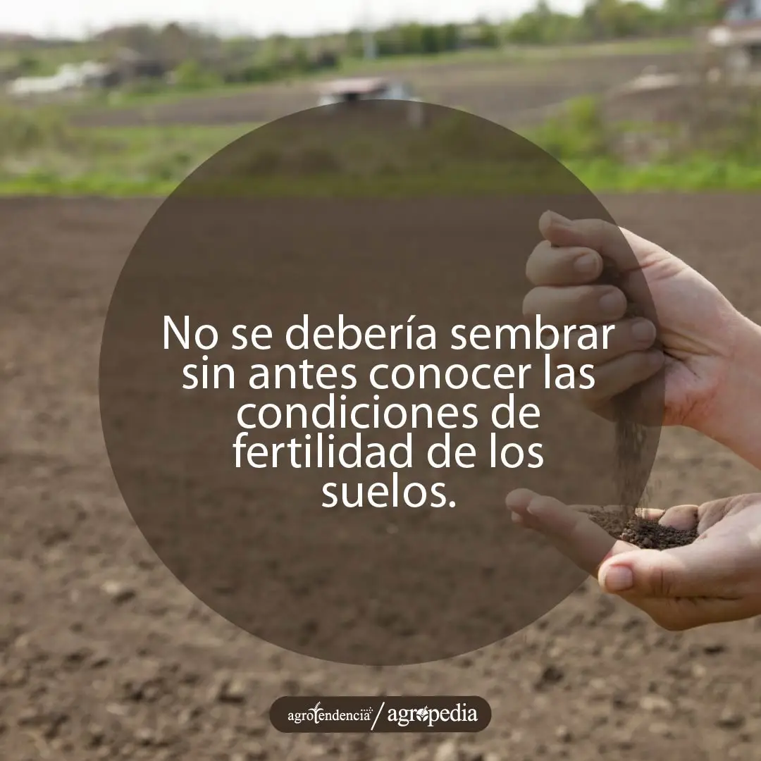 manos tomando tierra