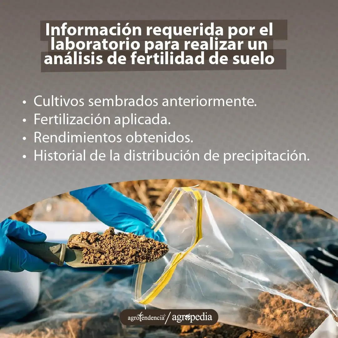 manos tomando tierra para colocarla en bolsa para realizar análisis de fertilidad de suelo