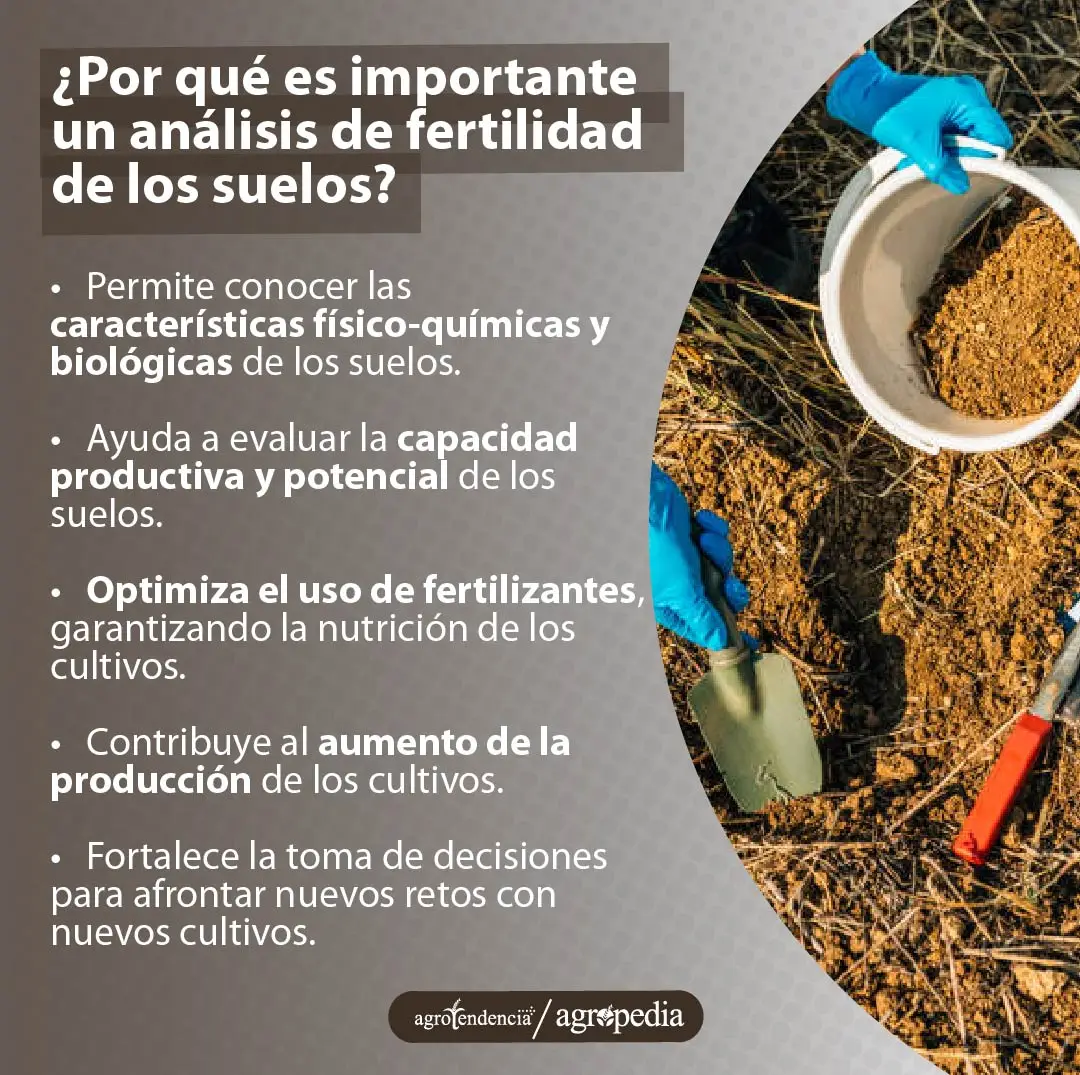 persona tomando muestra de suelo para análisis de fertilidad de suelo