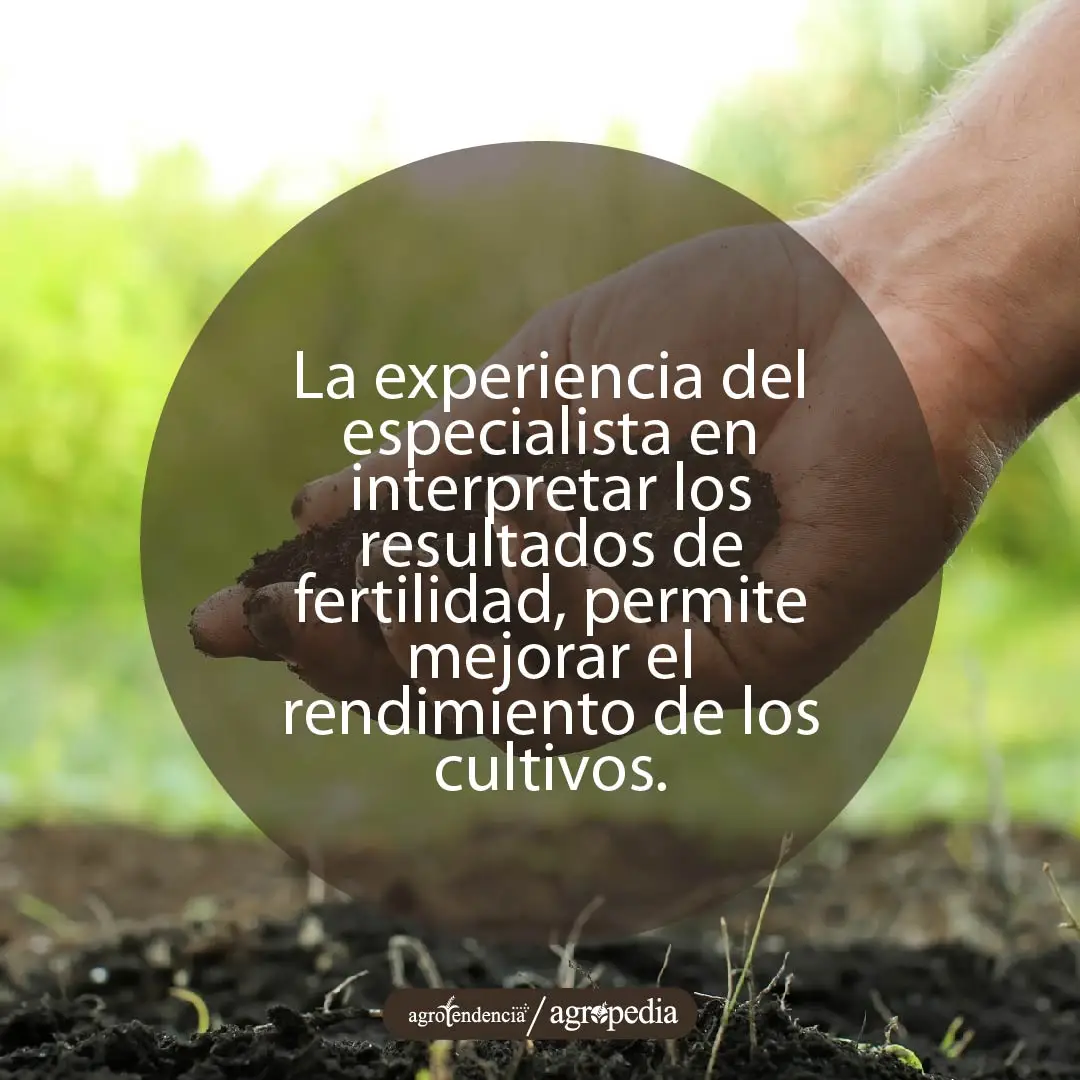 una mano tomando tierra