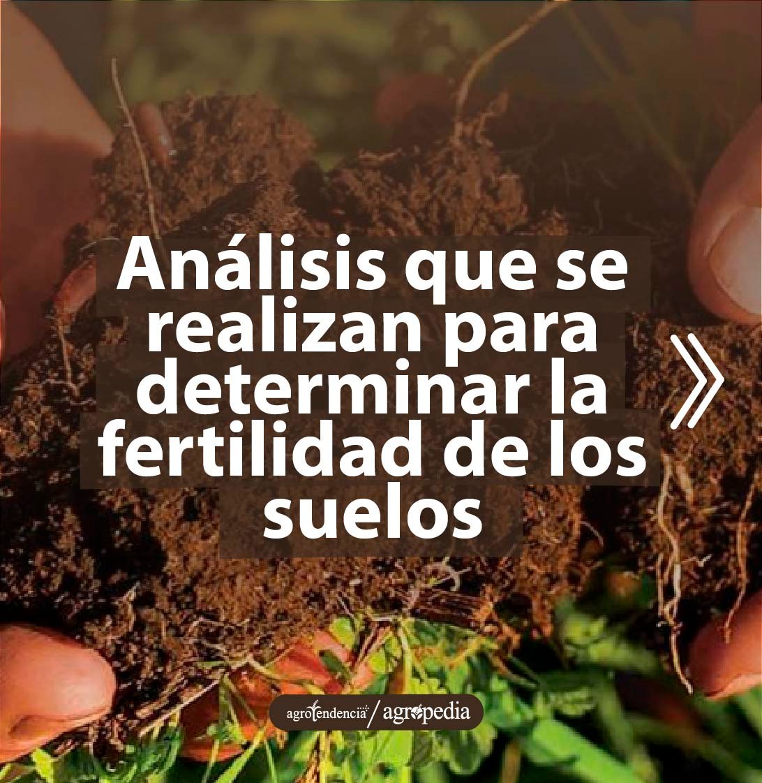 manos sosteniendo tierra para análisis de fertilidad de suelos
