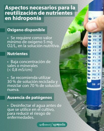 persona midiendo nutrientes en agua