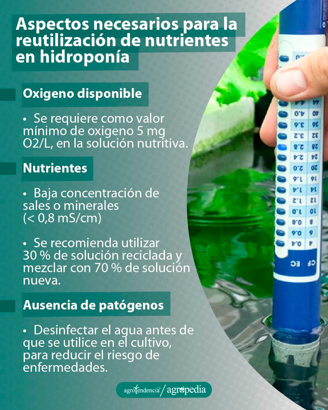 persona midiendo nutrientes en agua