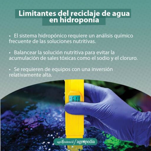 una mano con guantes morados midiendo los nutrientes en la solución hidropónica