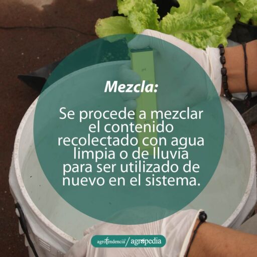 persona mezclando en envase