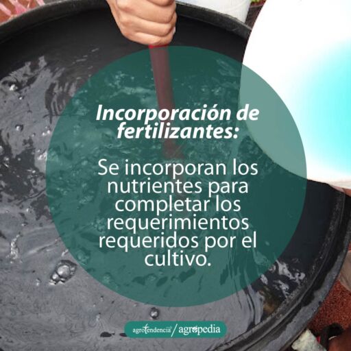 persona vertiendo fertilizantes en la solución hidropónica