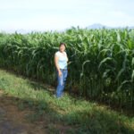 cultivo de maíz - interpretación análisis de suelo