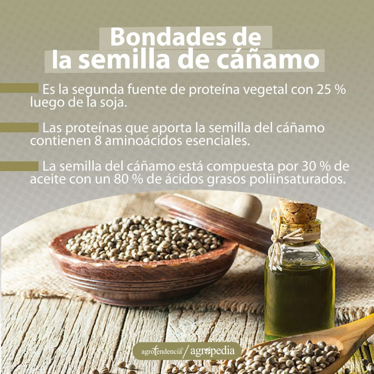 semillas y aceite de cáñamo