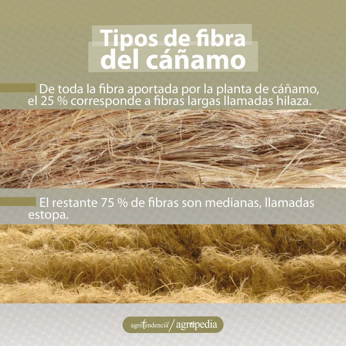 fibras de cáñamo