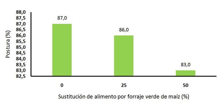Gráfico de porcentaje de postura de gallinas con o sin FVH de maíz