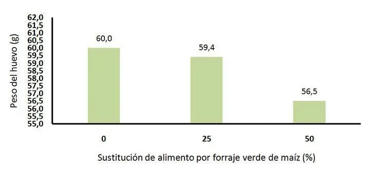 Gráfico de peso del huevo de gallinas con o sin sustitución del alimento por FVH de maíz