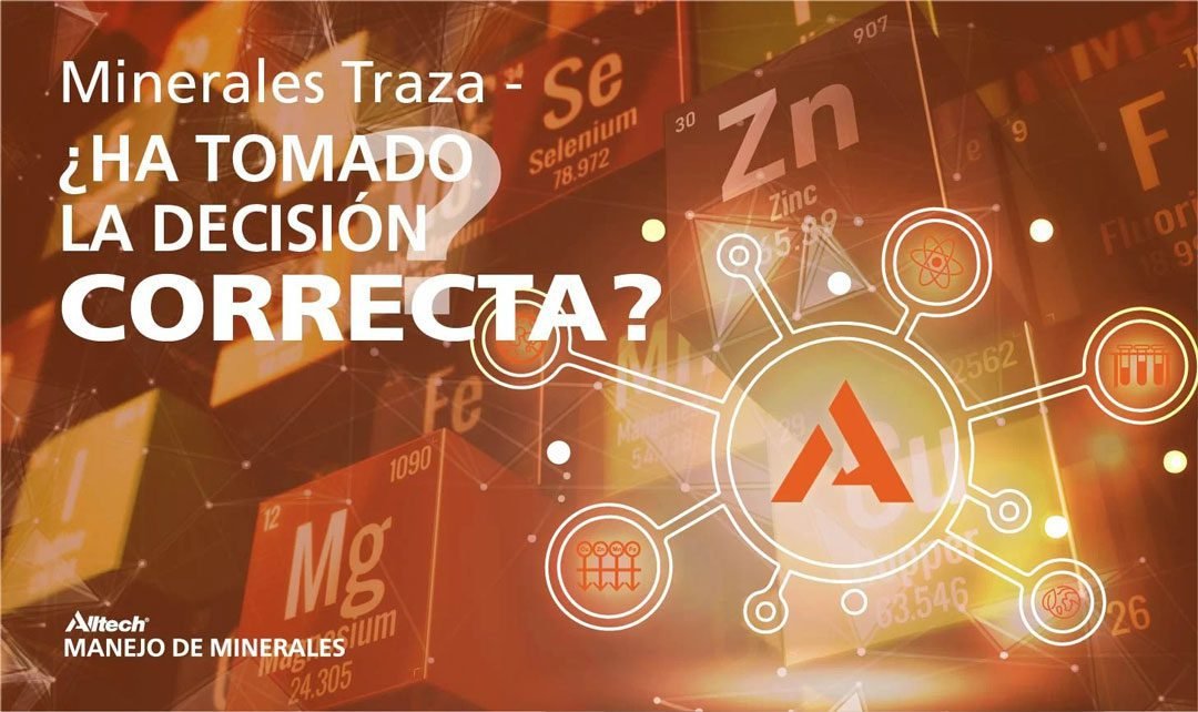 Tecnología de Reemplazo Total de Alltech para minerales traza