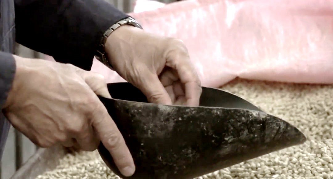 Alimento balanceado para cerdos enriquecido con minerales traza