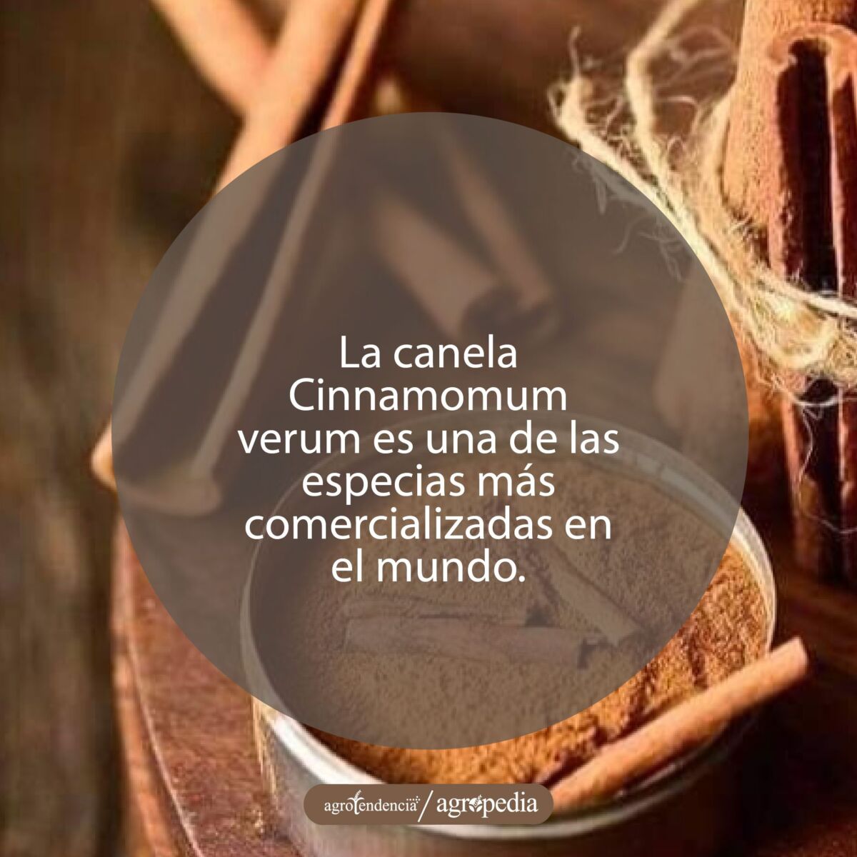 canela en rama y en polvo