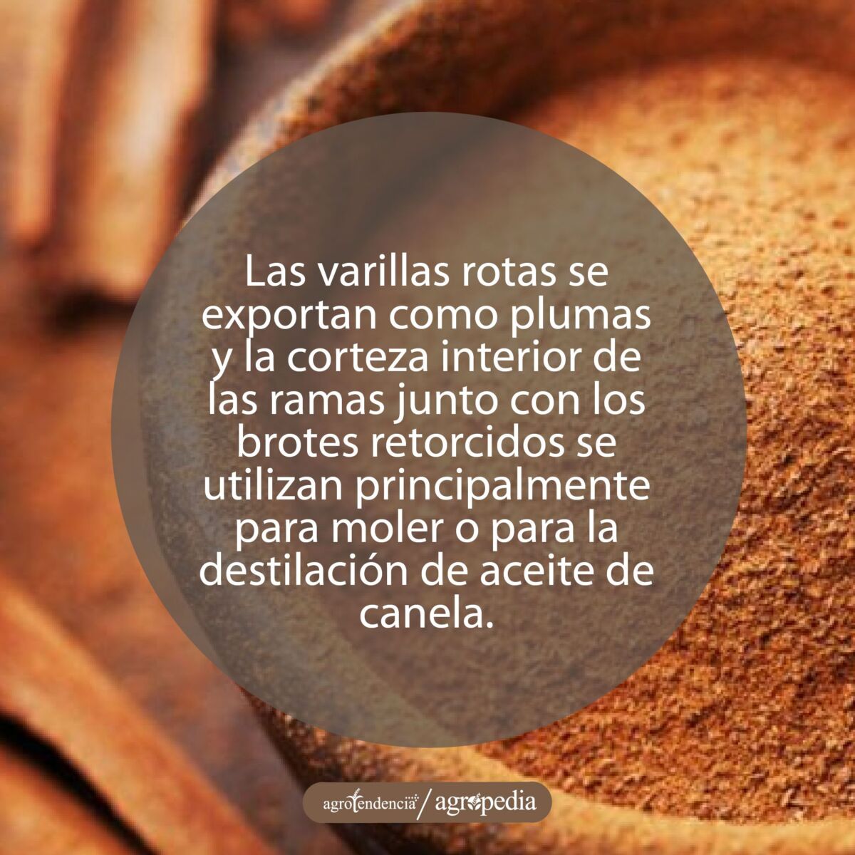 polvo de canela