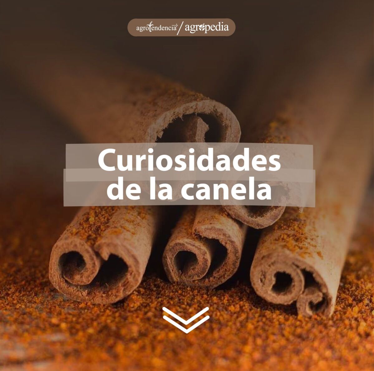 5 cortezas de canela
