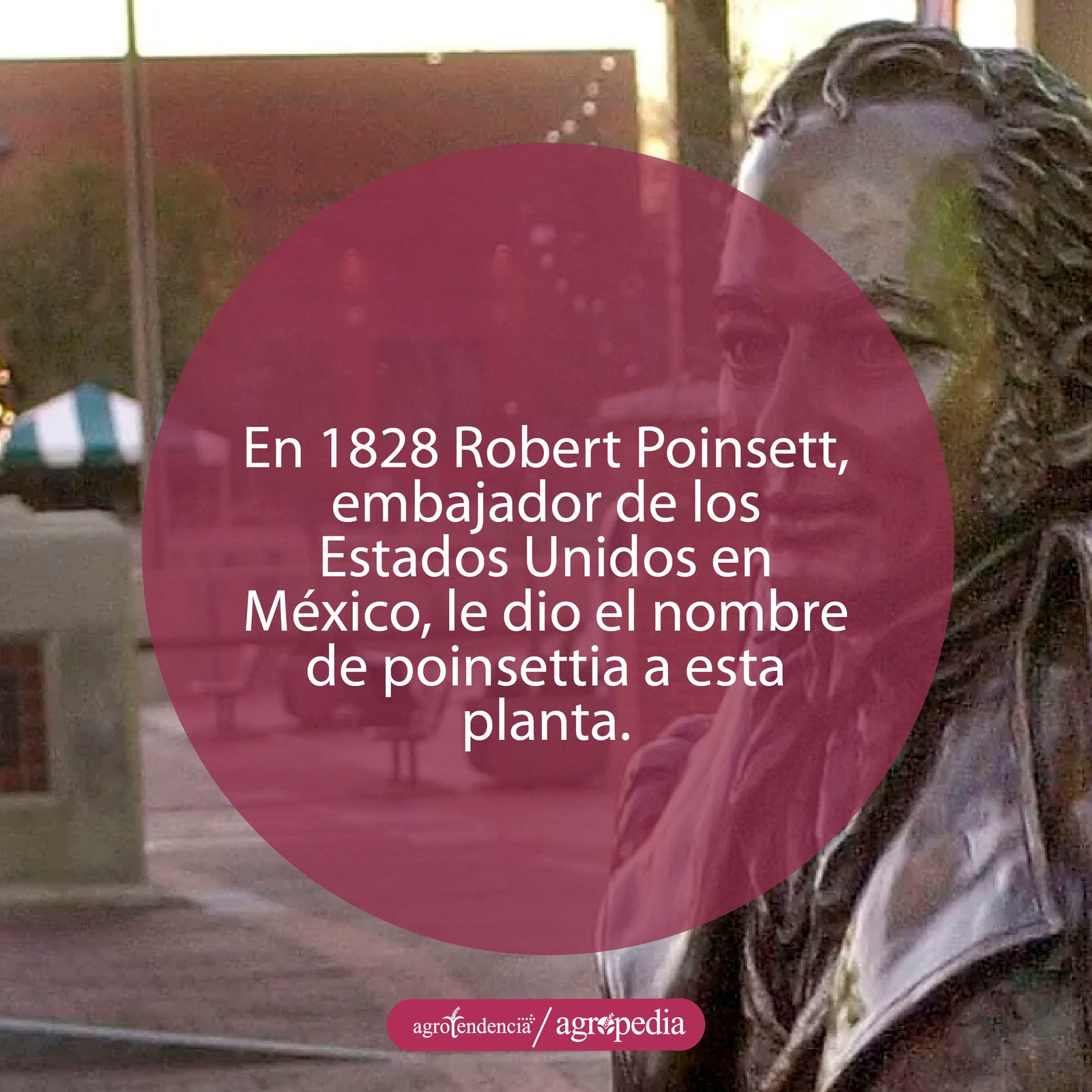 Escultura de Robert Poinsett