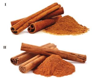 cultivo de canela - manejo agronómico del cultivo de canela