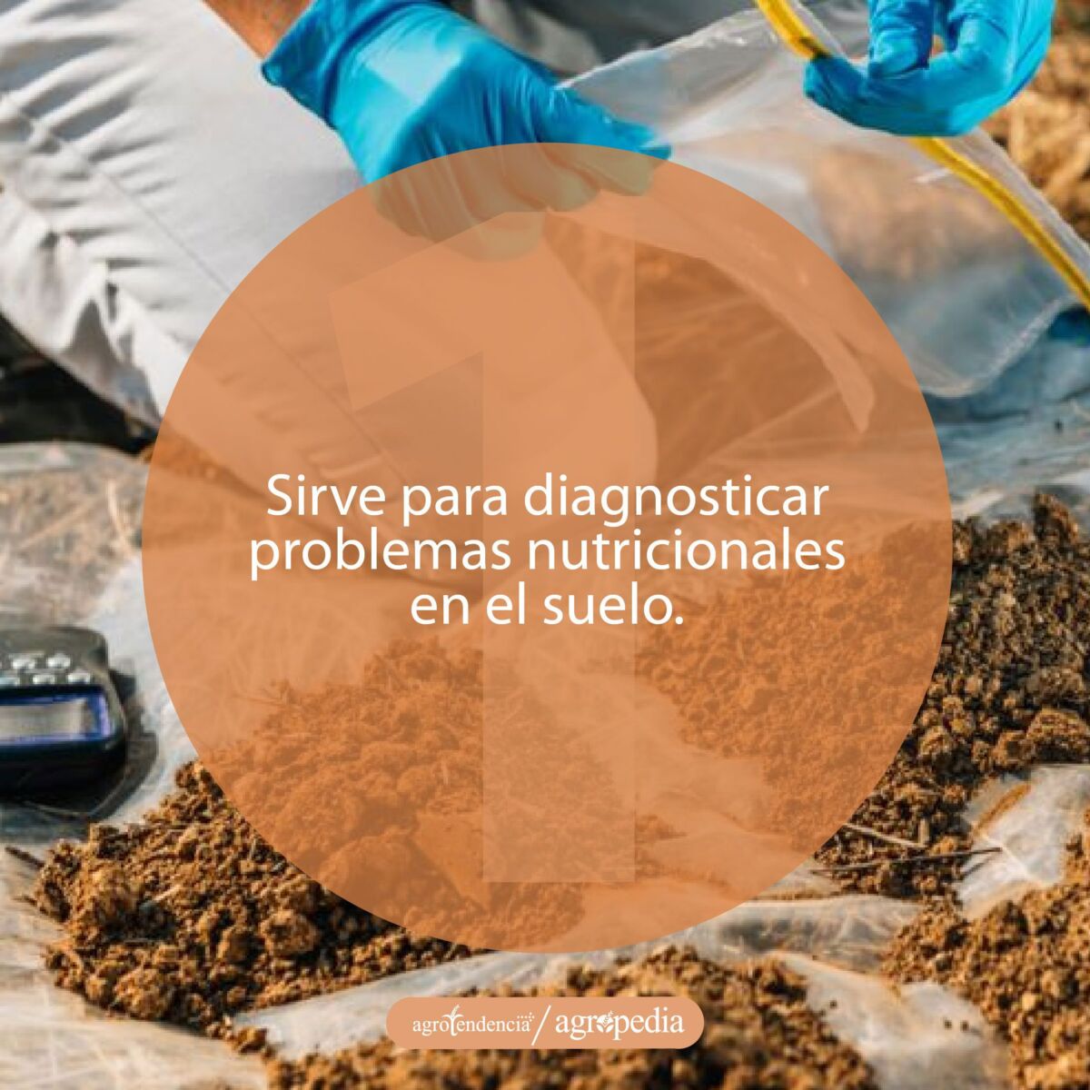 Personas realizando análisis al suelo