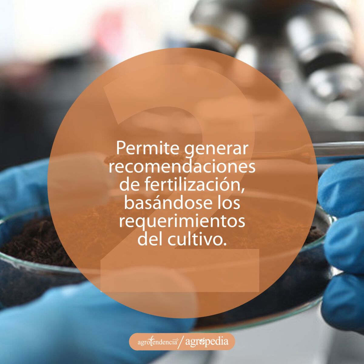 análisis del suelo a través de un microscopio