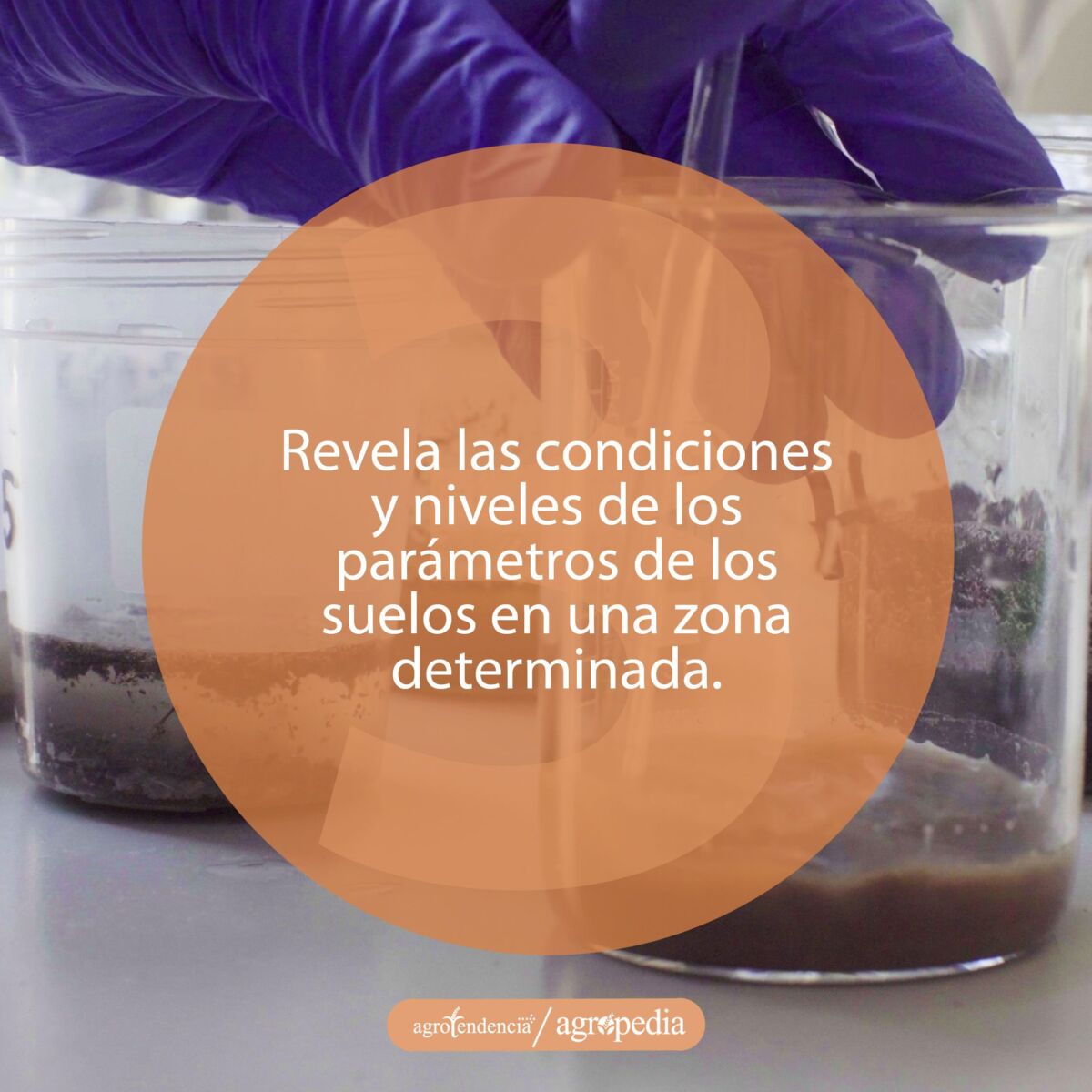 una mano realizando una mezcla con suelo para realizar análisis