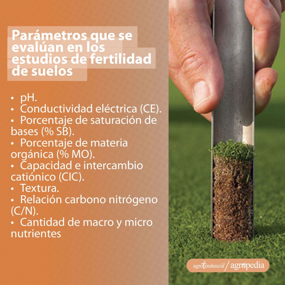 mano tomando muestra de suelo para su posterior análisis