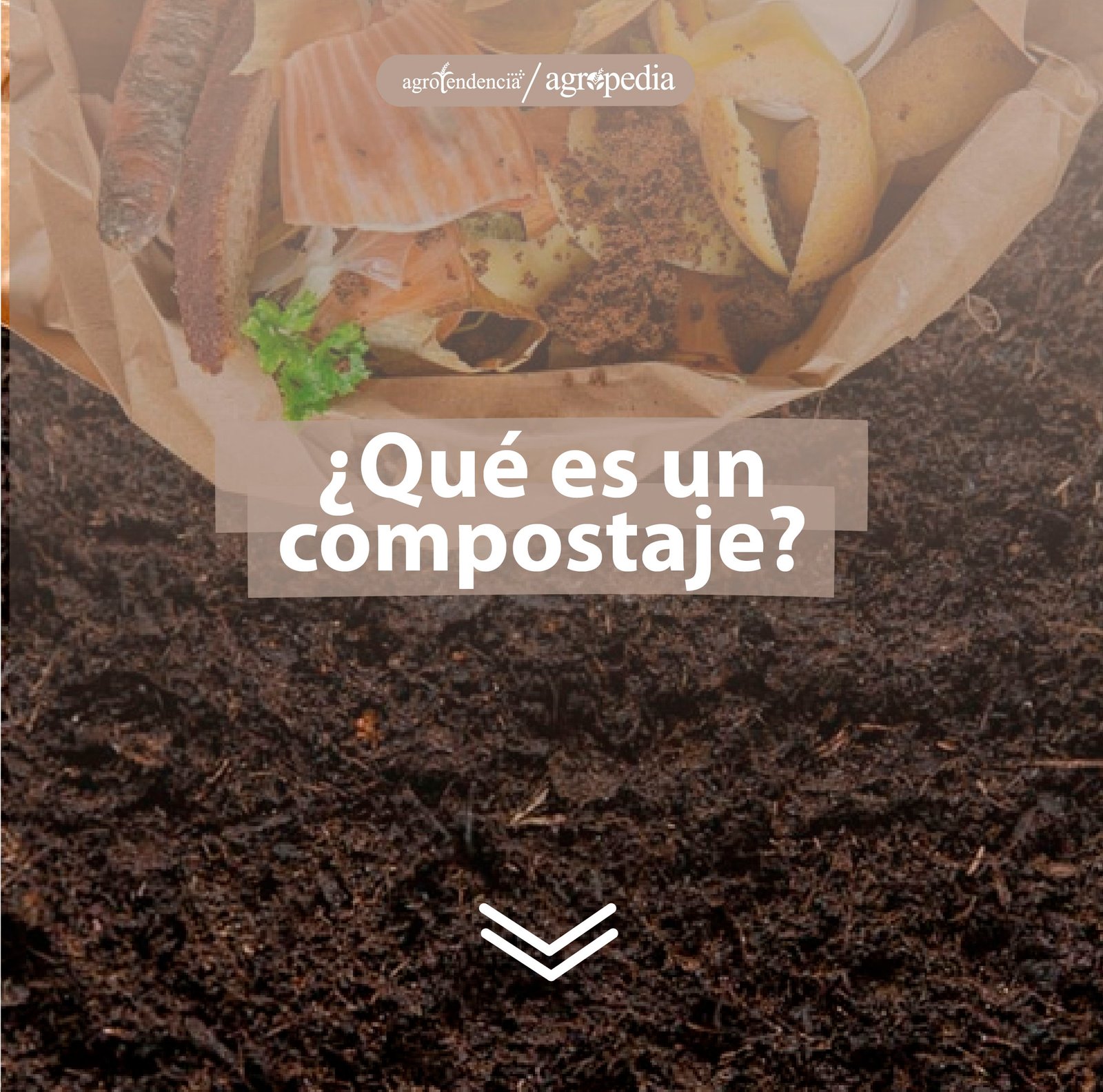 hortalizas y compost