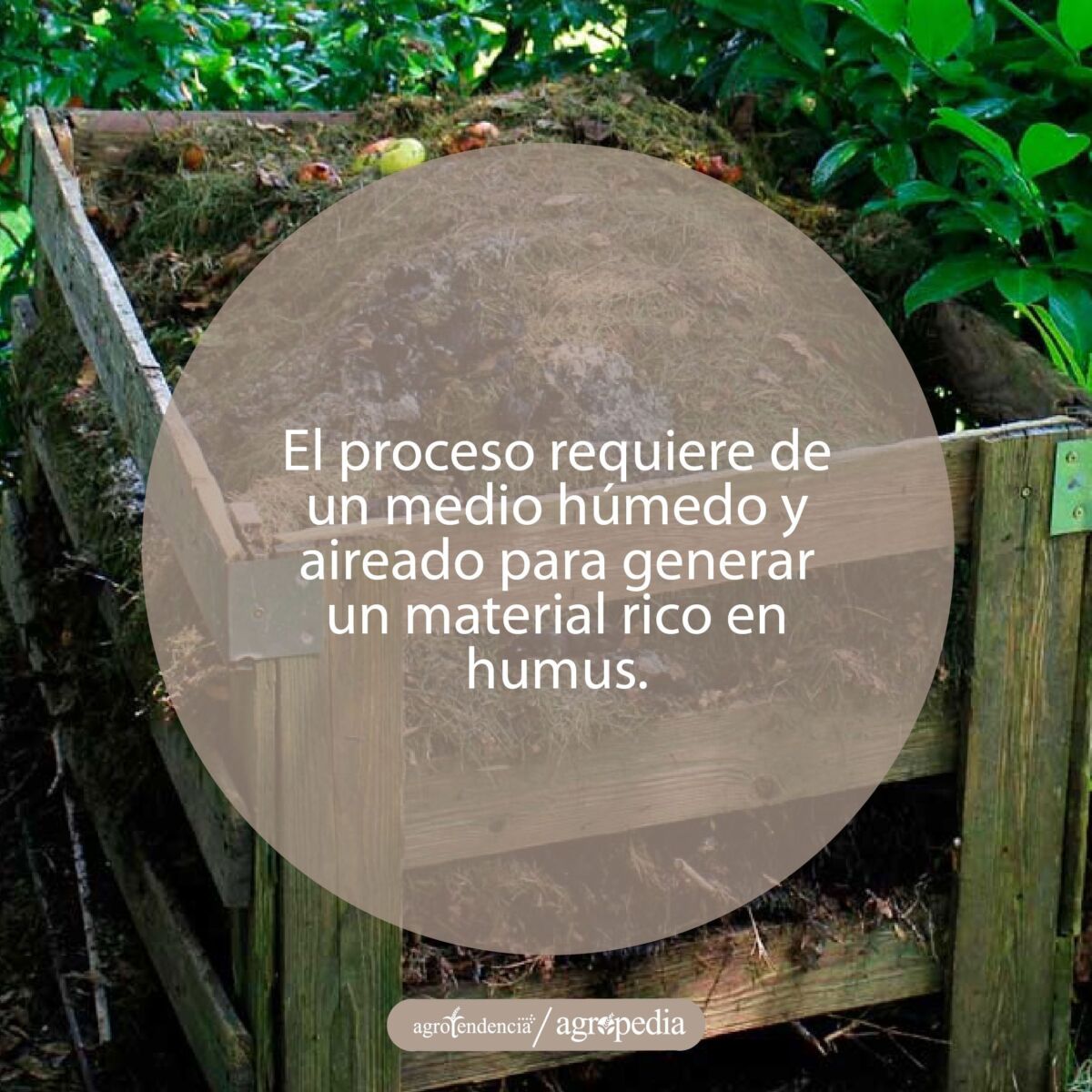 caja de madera con compost