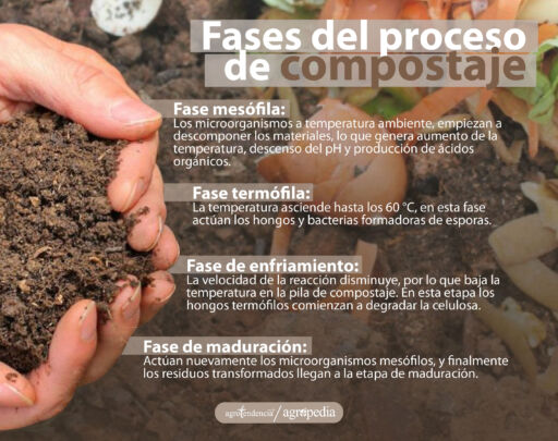 manos sosteniendo compost proveniente de la fermentación de hortalizas