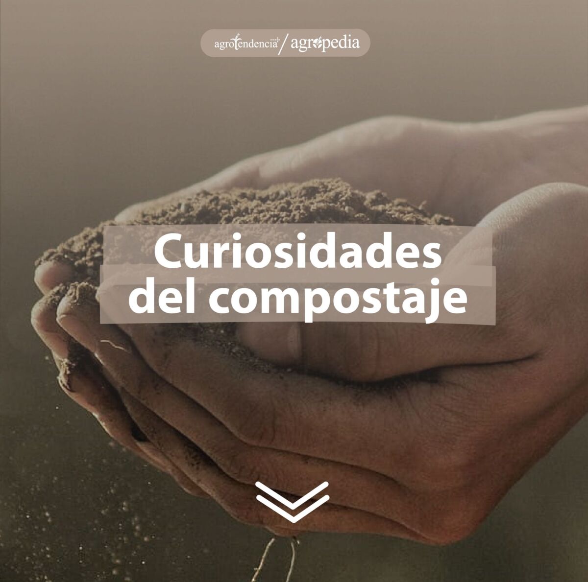manos sosteniendo compost