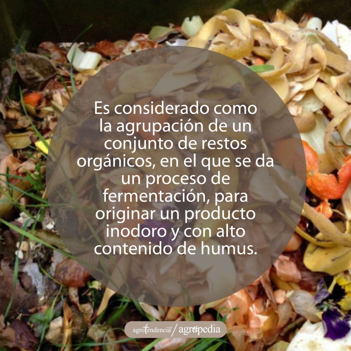 pila de restos de hortalizas que serán fermentadas para producir compost
