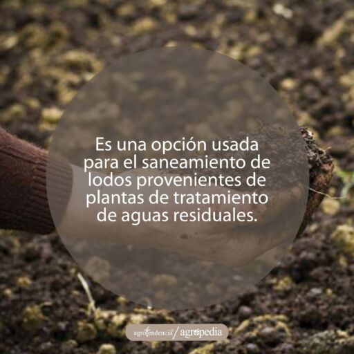 mano sosteniendo compost