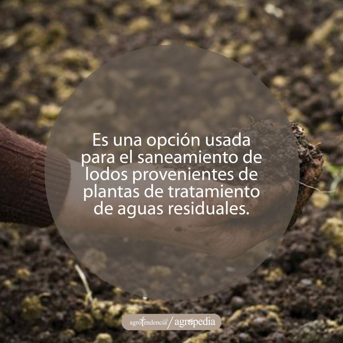 mano sosteniendo compost