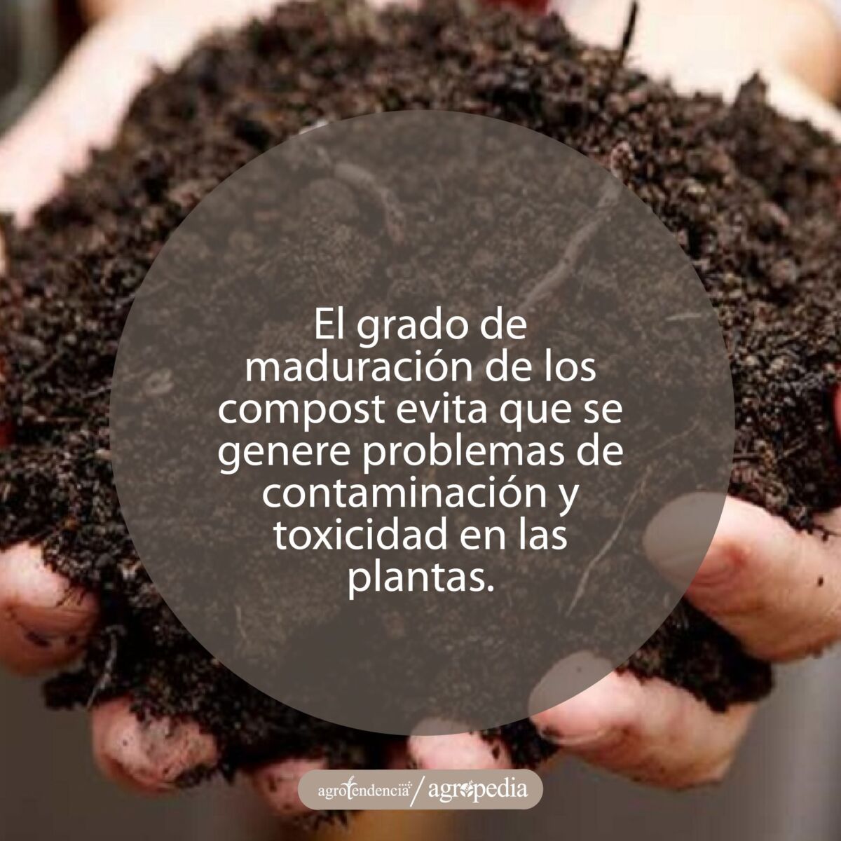 manos sosteniendo compost