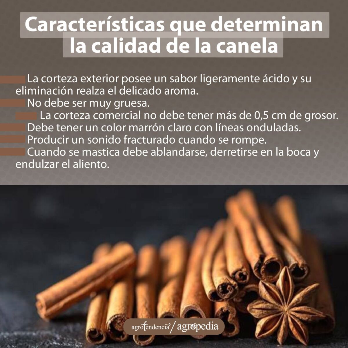 palitos de canela