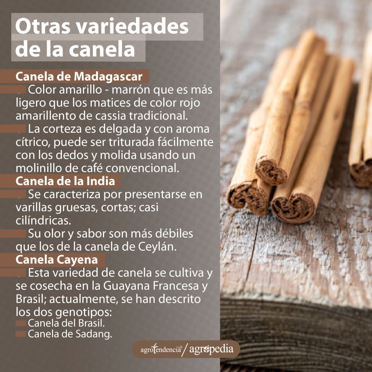 palitos de canela