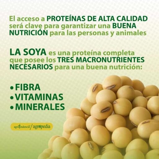 cultivo de soya - manejo agronomico del cultivo de soya