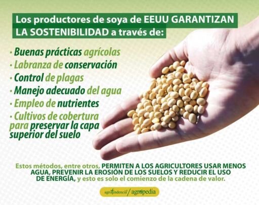 cultivo de soya - manejo agronomico del cultivo de soya