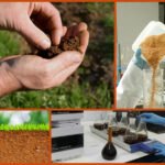 análisis de suelo - cómo hacer una análisis de suelo
