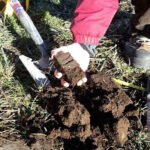análisis de suelo - cómo hacer una análisis de suelo