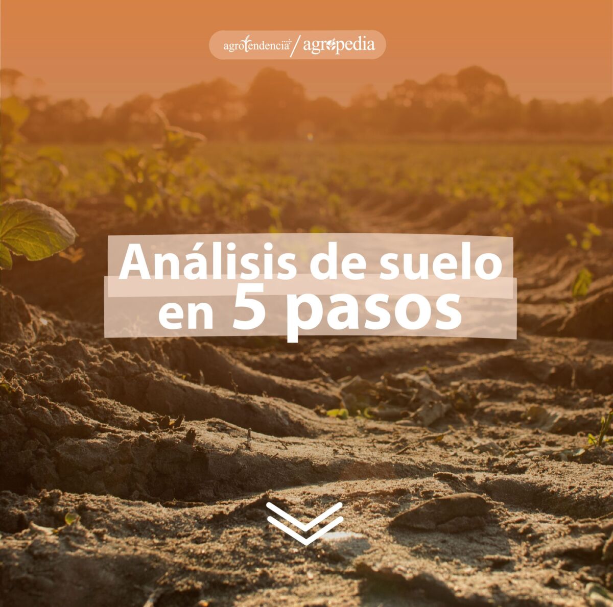 Vista de un suelo agrícola