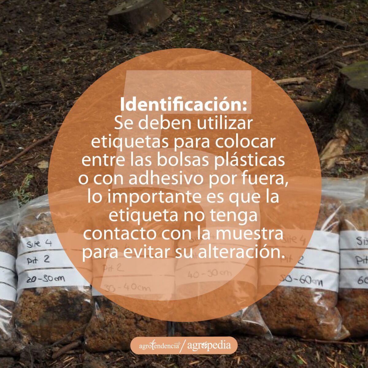 muestras de suelos identificadas para su posterior análisis