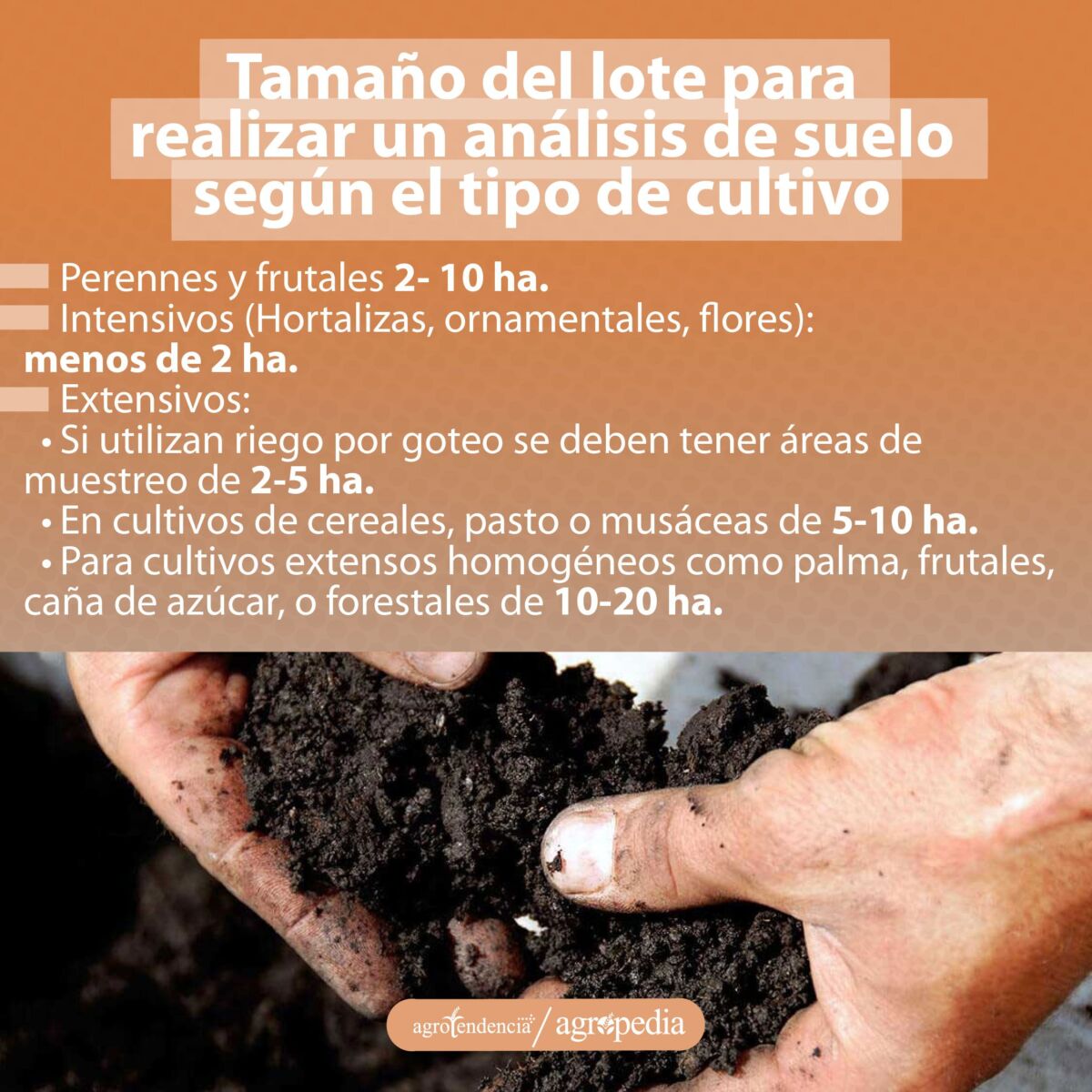 manos tomando una porción de suelo