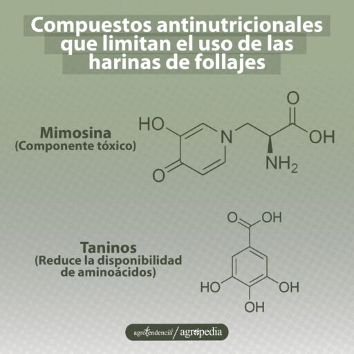 Estructuras moleculares de dos compuestos