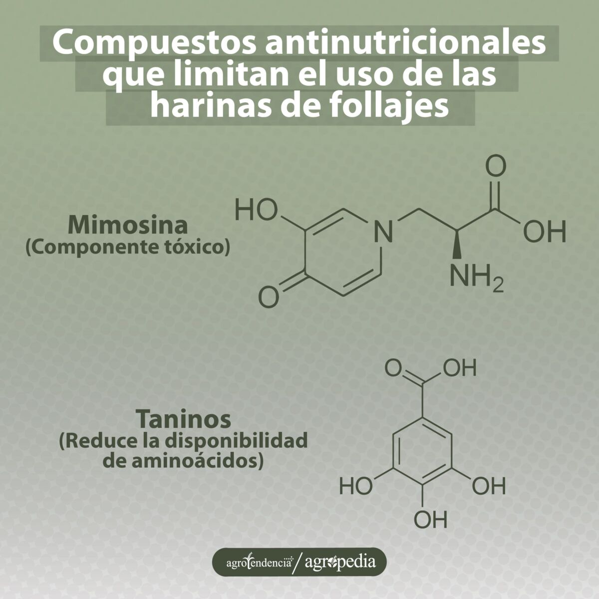 Estructuras moleculares de dos compuestos