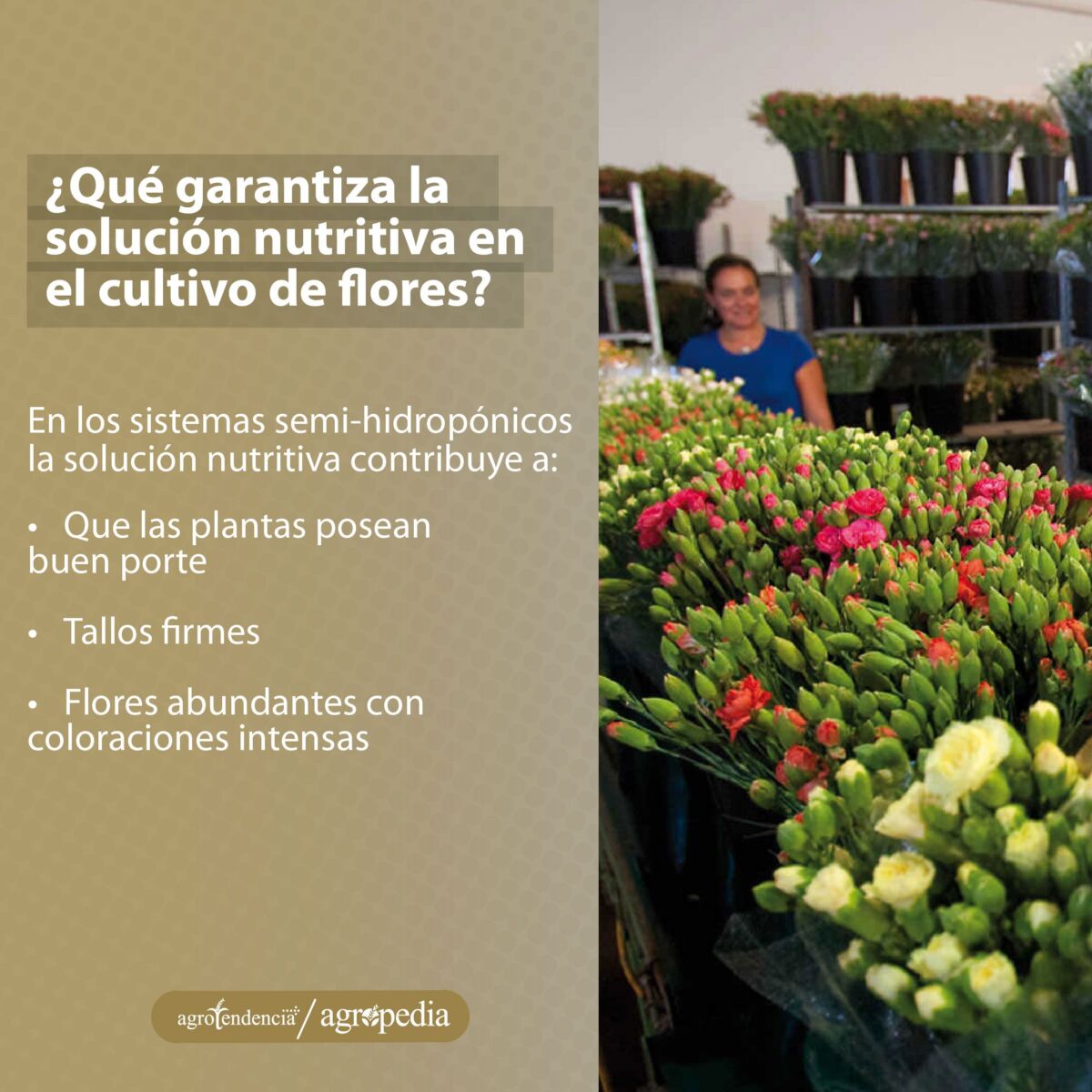 mujer vendiendo flores