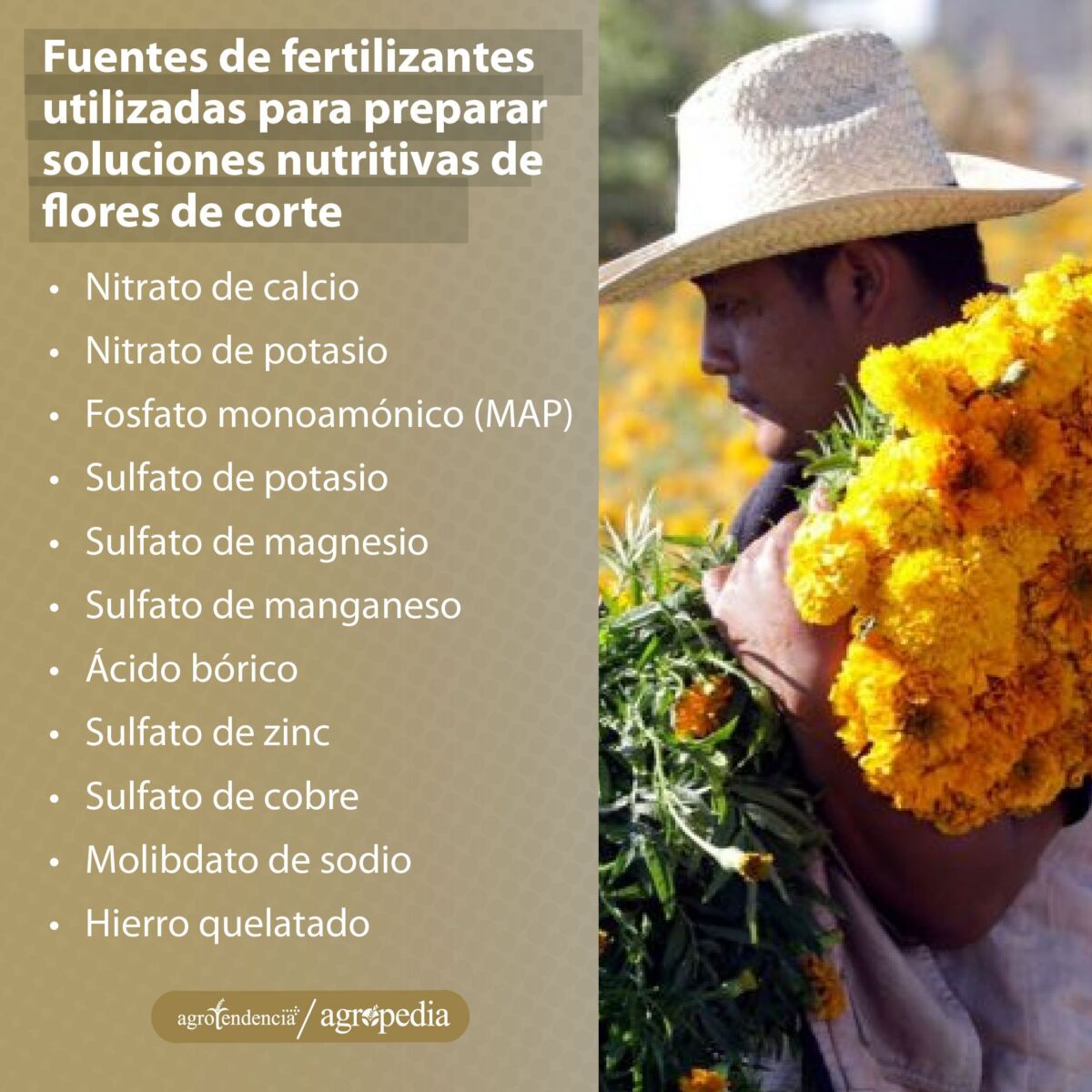 hombre llevando flores amarillas