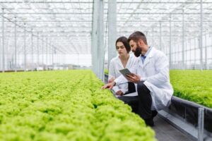 agricultura protegida - manejo integrado de plagas - cultivo en invernadero