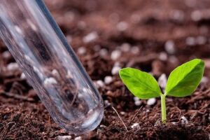 Análisis de suelo: Qué es, cómo se hace y su importancia